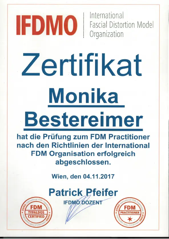 Fasziendistorsionsmodell (FDM)