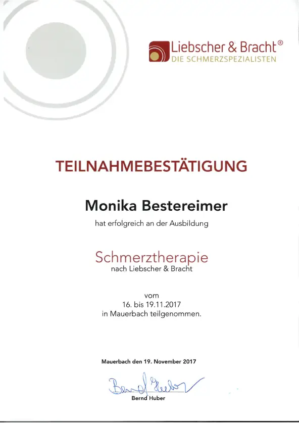 Schmerztherapie